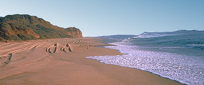Southern California beach