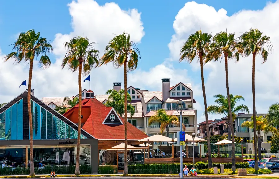 landscape with palm trees and clouds in Carlsbad,California.